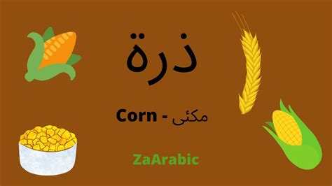 corn in arabic